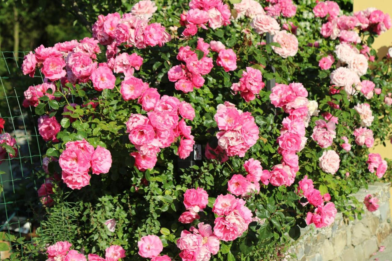 Ca De Pria Bed & Breakfast Casarza Ligure Dış mekan fotoğraf